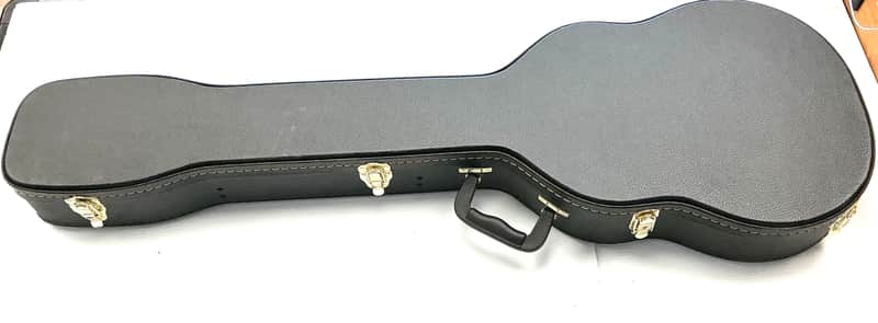 Case for violin style bass, Epiphone , Hofner, EB-O image 1