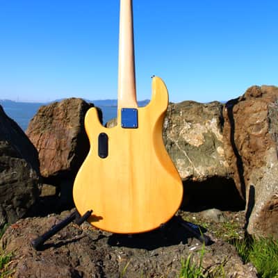 OLP Tony Levin Signature 5-String Bass  Flamed Natural image 20