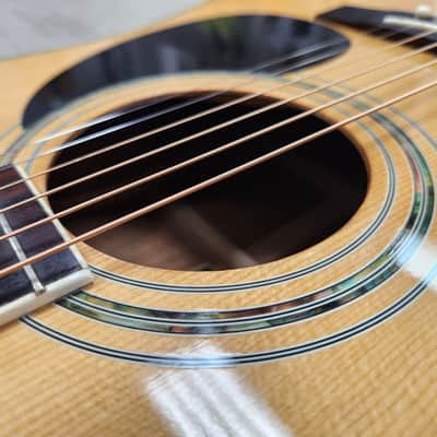 1980s Hohner Leyanda Line HMW-600N Dreadnought w/ Original Soft Shell Case image 14