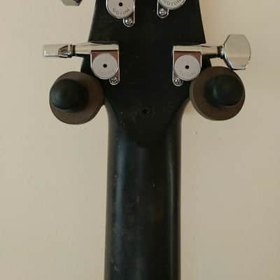 Flaxwood Rautia Goldtop image 6