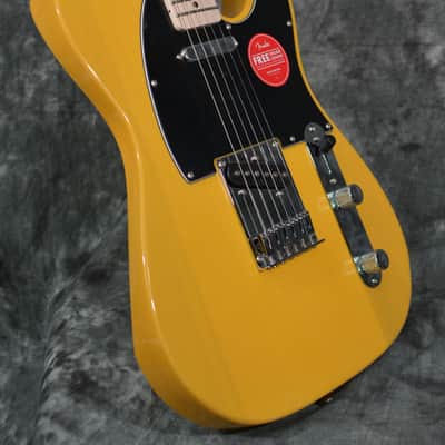 Squier Affinity Series Telecaster Butterscotch w/ FREE Same Day Shipping image 7