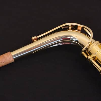 Selmer Alto Saxophone SAS711 Professional Model Lacquer Finish Used 23094427 image 3