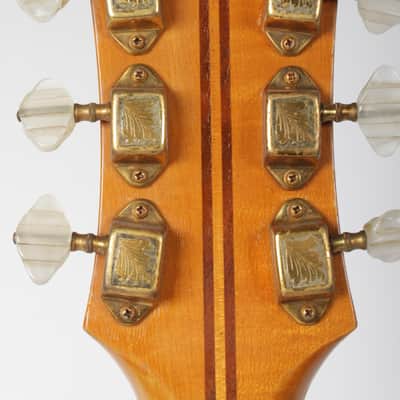 Guild X 500 B 1962 - Natur image 6