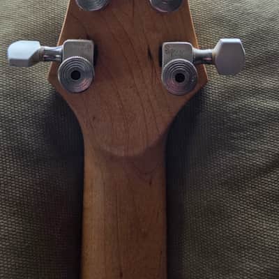 Carvin Bolt Plus 2010 - Antique Brown Flame image 7