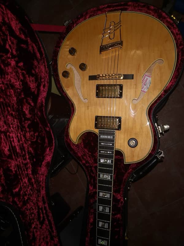 Ibanez PM 120 2008 Natural image 1