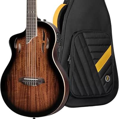 Ortega RTPDLX-ACA Thinline Acoustic/Electric Classical Guitar image 1