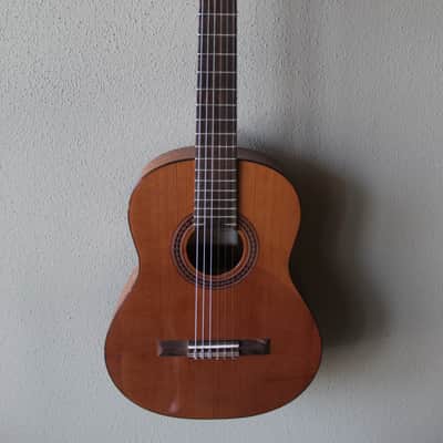 Brand New Cordoba Iberia Series Requinto Nylon String Classical Guitar - B Stock image 1
