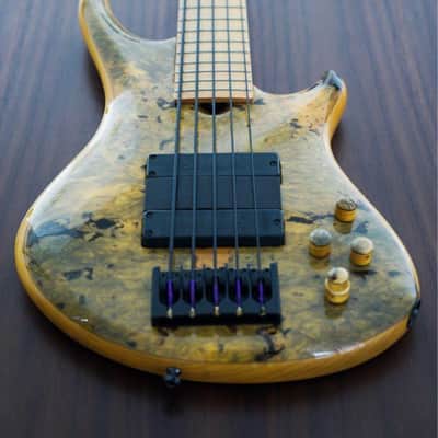 Roscoe Custom SKB 5 Electric Bass image 8