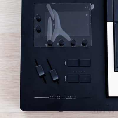 Expressive E Osmose 49-Key Polyphonic Synthesizer, 24-Voice image 3