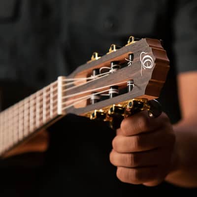 Ortega RGL5EB-CE Mini Travel Series Ebony Top Mahogany Neck 1/8 Size 6-String Acoustic-Electric Guitarlele image 10