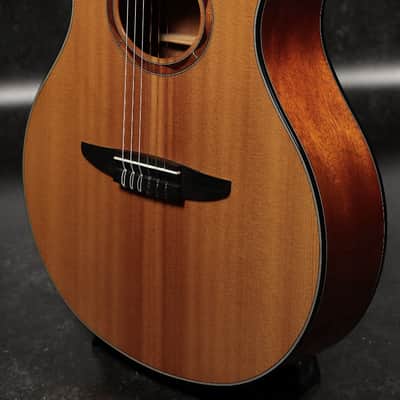 YAMAHA NTX700 Natural [HOZ250644] (07/27) image 5