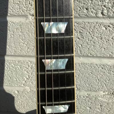 Gibson Adam Jones Signature Les Paul Standard 2022 - Present - Antique Silverburst image 10