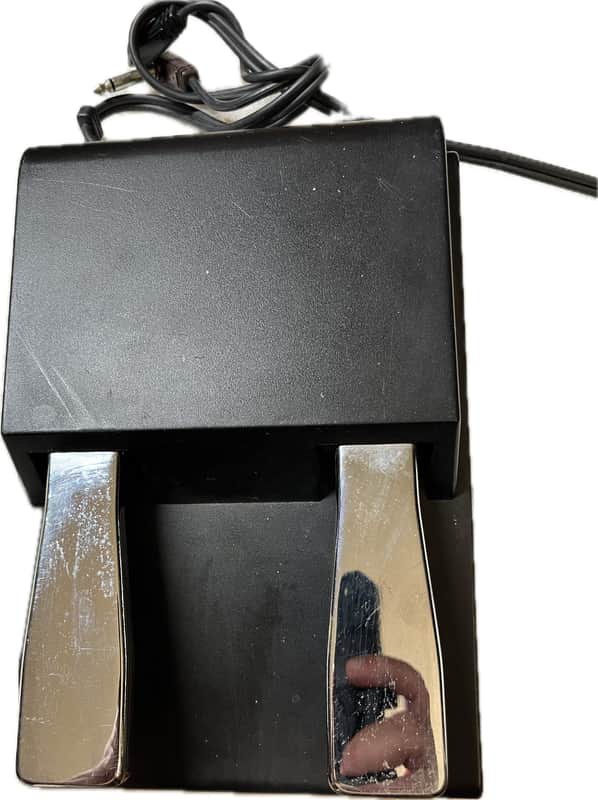 Fender Rhodes  Dual Sustain Keyboard Pedal image 1