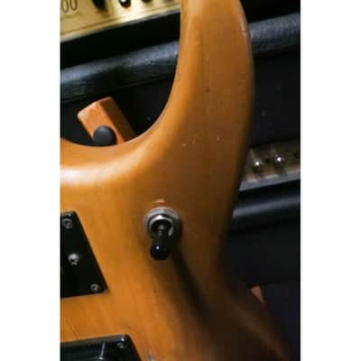 Washburn N2 image 14
