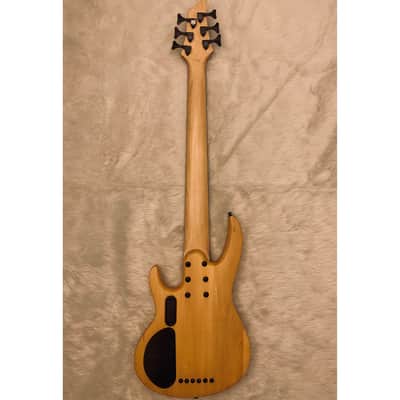 Brice 6 String Fretless Bass Very Good Condition image 7