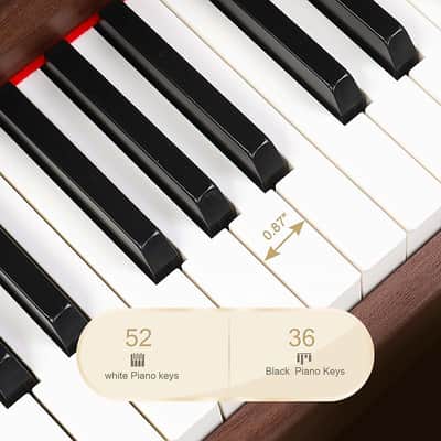 Glarry 88-Key Home Fully Weighted Hammer-action Keybed Digital Piano image 15