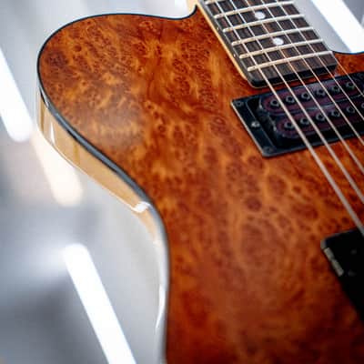 Schecter USA PT Custom EXOTIC Redwood Burl image 10