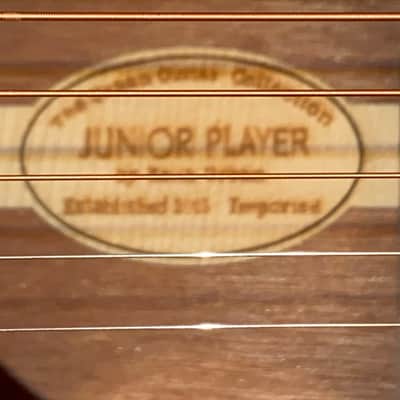 Keith Urban Junior Player 3/4 Acoustic Guitar with Case image 14
