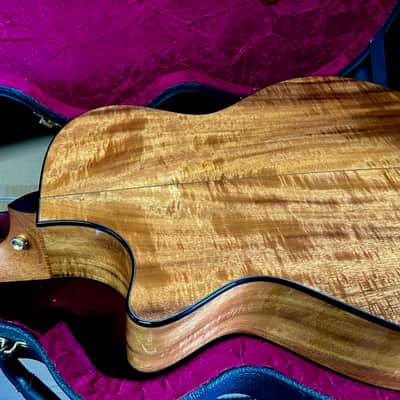 Taylor Spring Limited Edition 12-Fret Grand Concert Acoustic-Electric Guitar 2010 - Natural image 23
