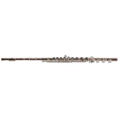 William S. Haynes Custom 14K Gold Flute with Gold Toneholes, Offset G, C# Trill image 1