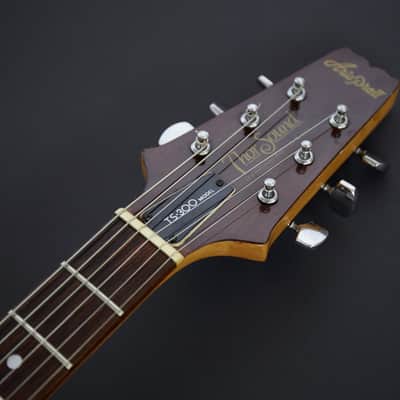 Aria Pro II Thor Sound TS300 image 5