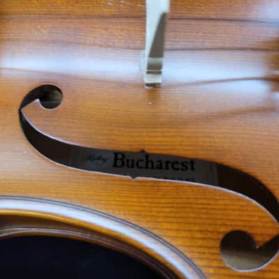 Bucharest 16" Viola Outfit with Casr and Bow model 31055H - Violin burst image 5