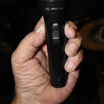 Peavey PV i2/Michrophone image 1