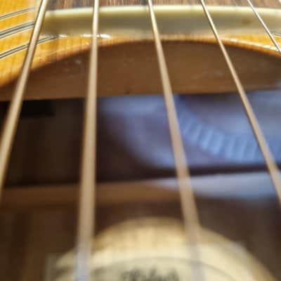 Hofner HA-JC03 Jumbo Electro Acoustic Guitar Solid Spruce Top image 6