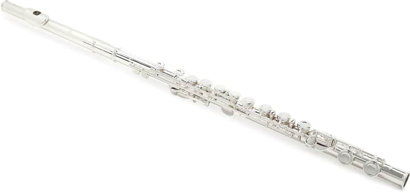 Di Zhao Flutes DZ 100 COA Student Flute with Offset G image 1