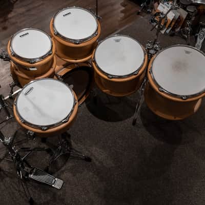 Peavey Radial Pro 1000 Kit with Hardware, 10, 12, 14, 16, 22, 14sn, Clear Maple, Made in USA image 11