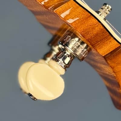 Deering Calico 5-String Banjo Demo image 19
