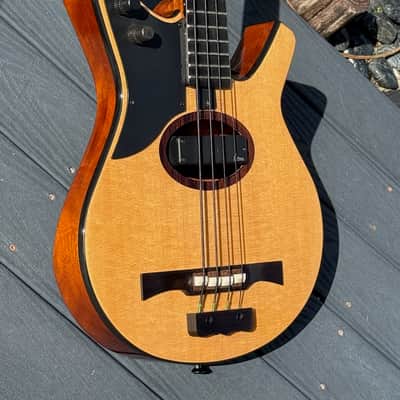 Citron AE-4 Swallow Bass 2009  - killer all around invention from Harvey Citron of Velette-Citron Basses. image 3