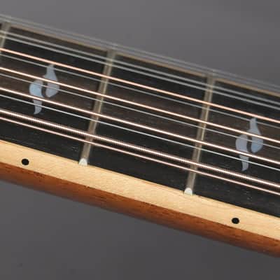 Taylor 858 12-String 2015 image 9
