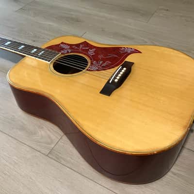 Aria Hummingbird 1979 - Natural Japan Lawsuit Low Action Hard Case image 6