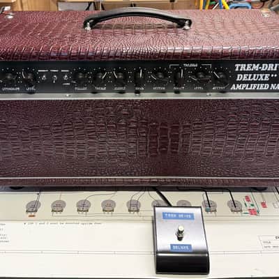 Amplified Nation Trem-Drive Deluxe 100W Head 2023 - Shiraz Croc image 9