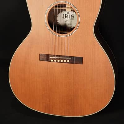 Iris ms-OO Redwood / Rosewood 2024 - Natural Satin image 3