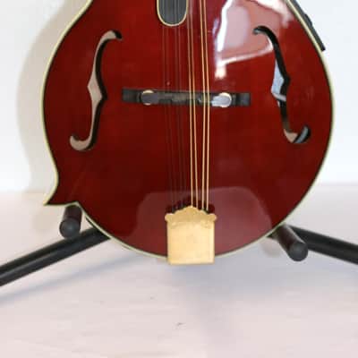 Michael Kelly Dragonfly Custom II Limited Edition Electric Mandolin LH W/Case image 3