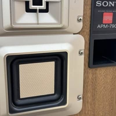 Pair Of SONY APM-790 Speaker System⭐️Great Condition⭐️Wood⭐️Working Confirmed image 7
