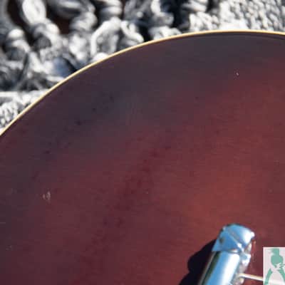 1981 Yamaha SG-800 - Oil Stain Finish (Brown) -Made in Japan - Pro Set Up w Perfect Frets/Action/Intonation image 17