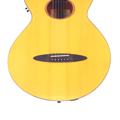 Schertler SM Acoustic Guitar – A Rare Gem in Electro-Acoustic Innovation - check video! image 2