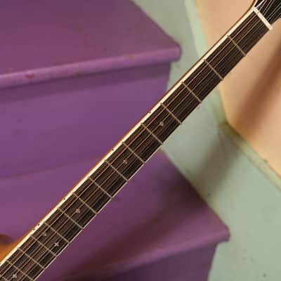 2010s Trinity College TM-375 Irish Bouzouki (As-new! w/OHSC! Fresh Setup, Ready to Go) image 4