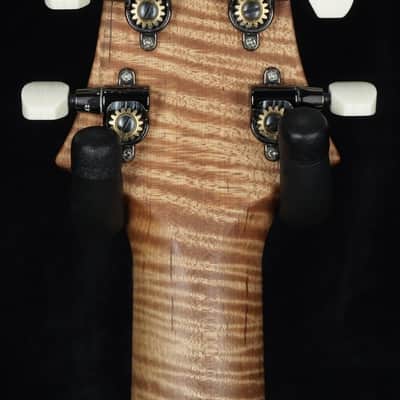 Preowned PRS Wood Library DGT Blacktop - Ash Back & Roasted Maple Neck image 12