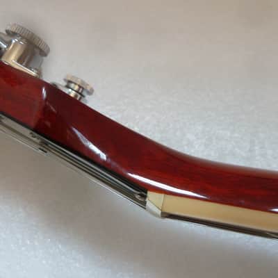Gibson Les Paul Traditional Pro V 2019 AAA Flame Top Cherry Burst GLOSS USA Case_231_ image 14