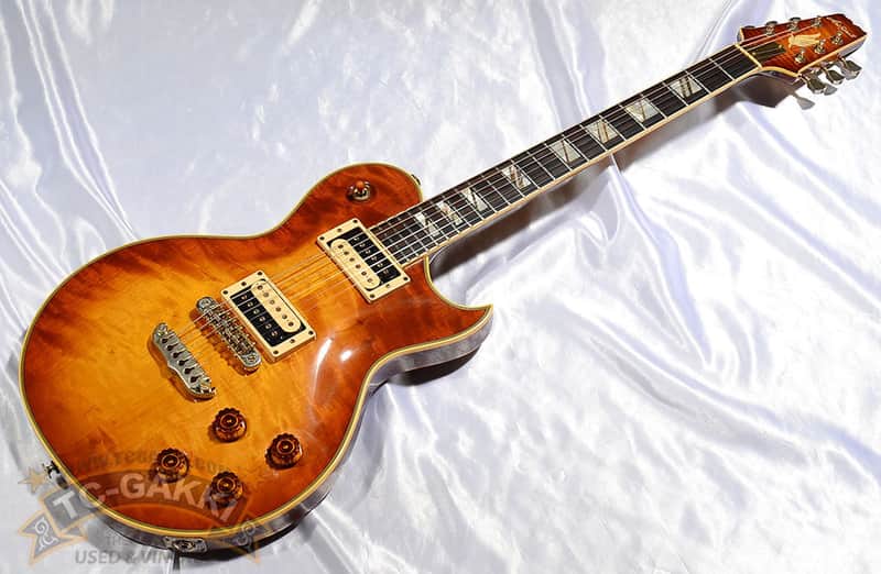 Aria Pro II PE 200 AV | Reverb