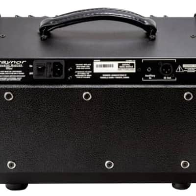 Traynor AMMINI | 65W Acoustic Guitar and Mic Amp. Demo Model with Full Warranty! image 4