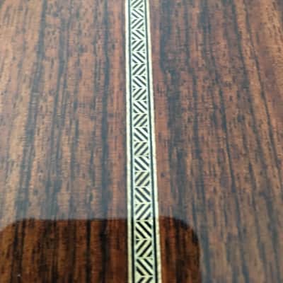 Greven Prairie State Acoustic Guitar "Prototype" Built For Stephan Grossman image 8