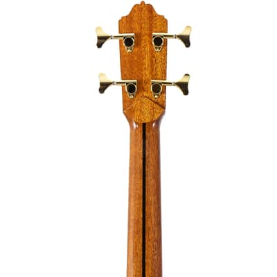 4 String Octave Bass Guitar - Estevé PS75 - All Solid Wood/Cedar/IR - 750mm Scale Length image 5