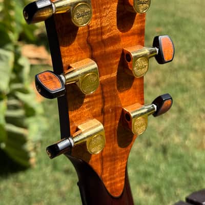 Taylor 2024 "Catch" Custom #27 Grand Auditorium Bearclaw Sitka/Bocote B4027 C14ce Acoustic-Electric Guitar w/HSC image 9
