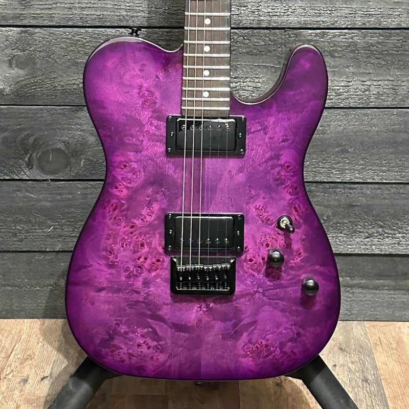 Schecter PT Standard Electric Guitar - Purple Burst Burl image 1