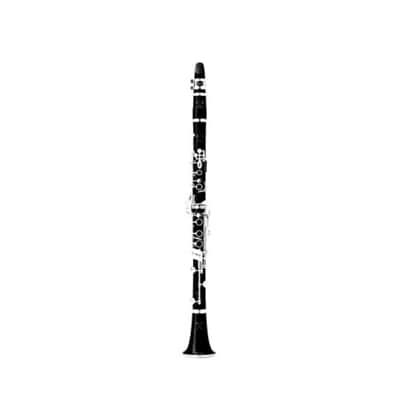 Buffet Crampon R13S Silver Keys Professional Clarinet. BC113120 image 2